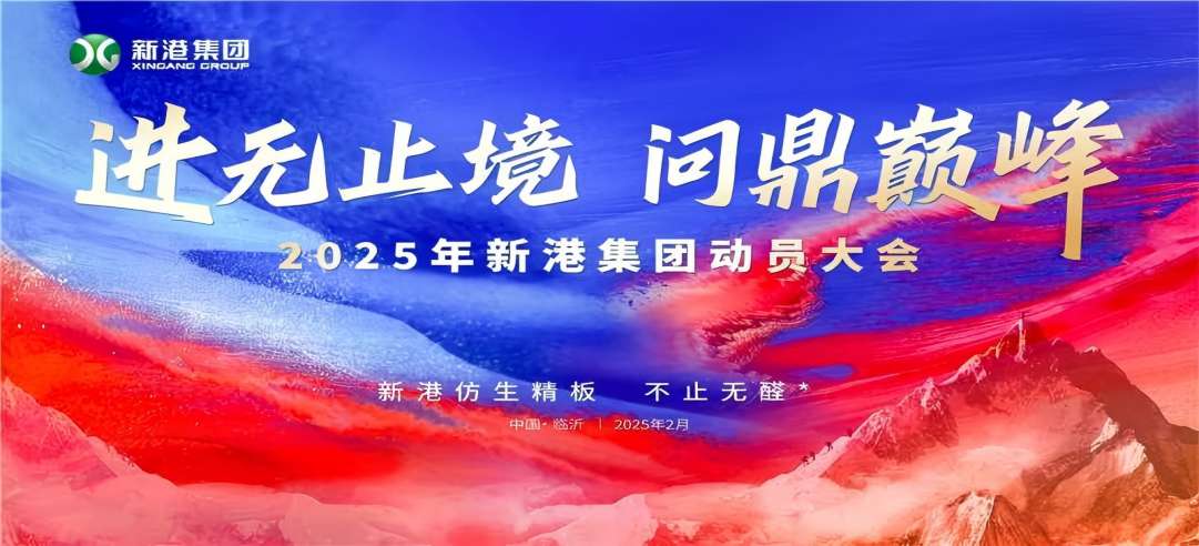 進(jìn)無止境，問鼎巔峰！2025年新港集團(tuán)動員大會成功召開！